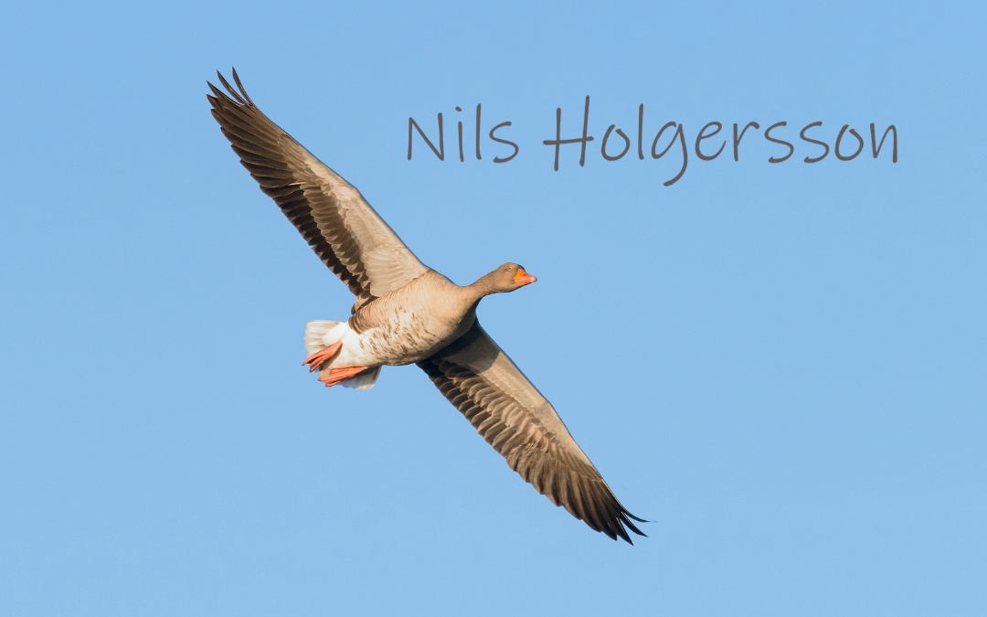 Familienstück: Nils Holgersson