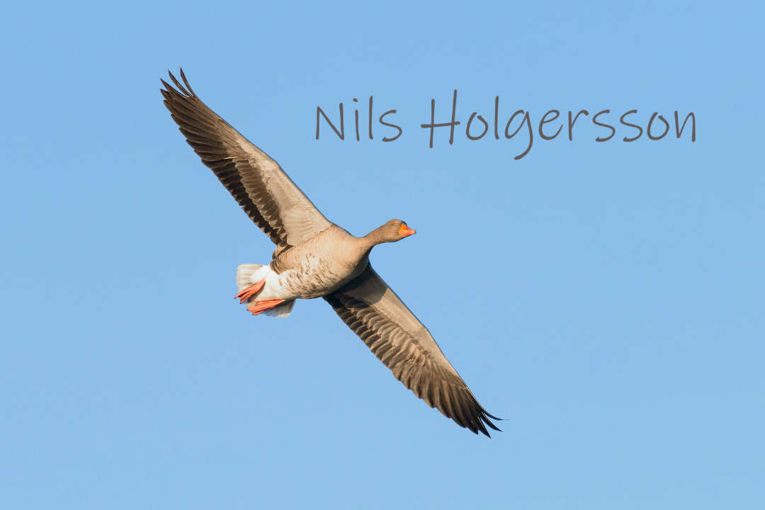 Freilichtbühne Stromberg_2026